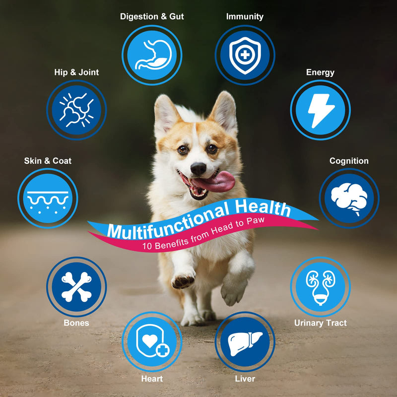 Dog Vitamins, Probiotics for Dogs Powder, Glucosamine & Chondroitin & MSM, with Prebiotics and Digestive Enzymes, Omega 3, Digestive & Gut Health, Joint & Immune & Heart Support, Dog Allergy Relief Chicken - BeesActive Australia