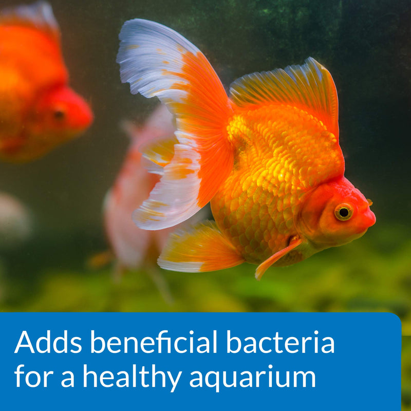 API GOLDFISH PROTECT Aquarium Water Conditioner 4-Ounce Bottle - BeesActive Australia