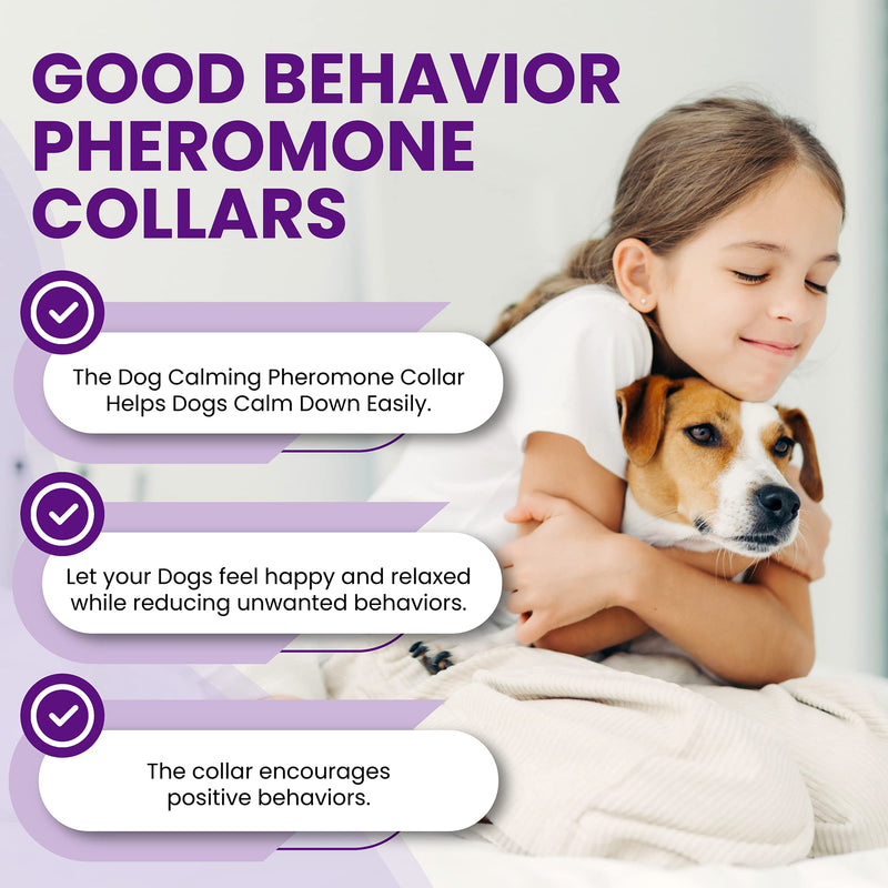 3 Pack Calming Collar for Dogs, Dog Anxiety Relief, Pheromone Dog Calming Collars, Breakaway Dog Collar, Dog Calm Collar, Separation Anxiety Relief for Dogs, Reduce Dog's Anxiety and Stress - BeesActive Australia