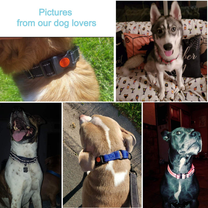 haapaw 2 Packs Martingale Dog Collar with Quick Release Buckle Reflective Dog Training Collars for Small Medium Large Dogs Medium (Pack of 1) Turquoise, Collar+Leash - BeesActive Australia