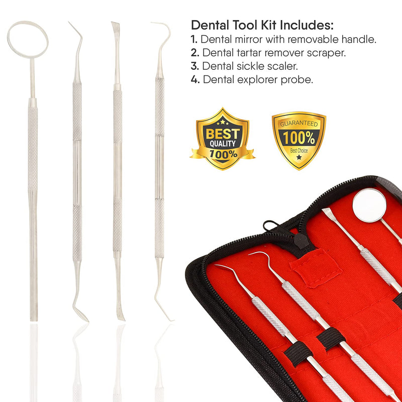 Dental Pick Tools Tooth Picks Stainless Steel Dental Teeth Whitening and Cleaning Oral Care Kit Professional Hygiene Tool Set with Tooth Scraper SS - BeesActive Australia
