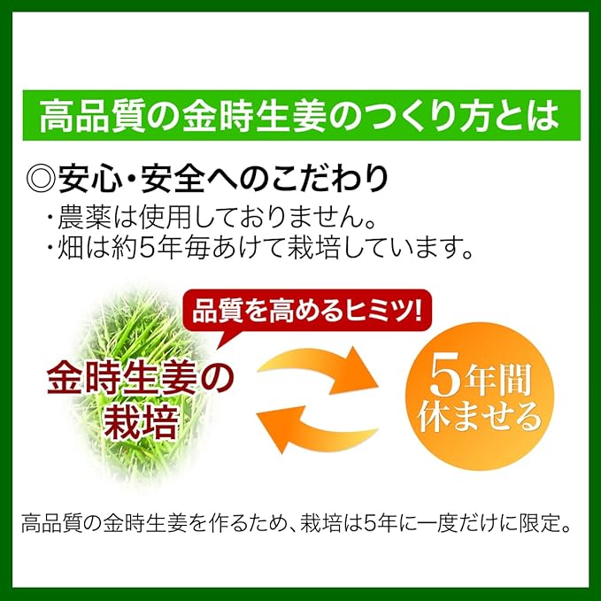 Sanwa Shokuken Kintoki ginger grains 1 bag (60 tablets) 1 month supply - BeesActive Australia