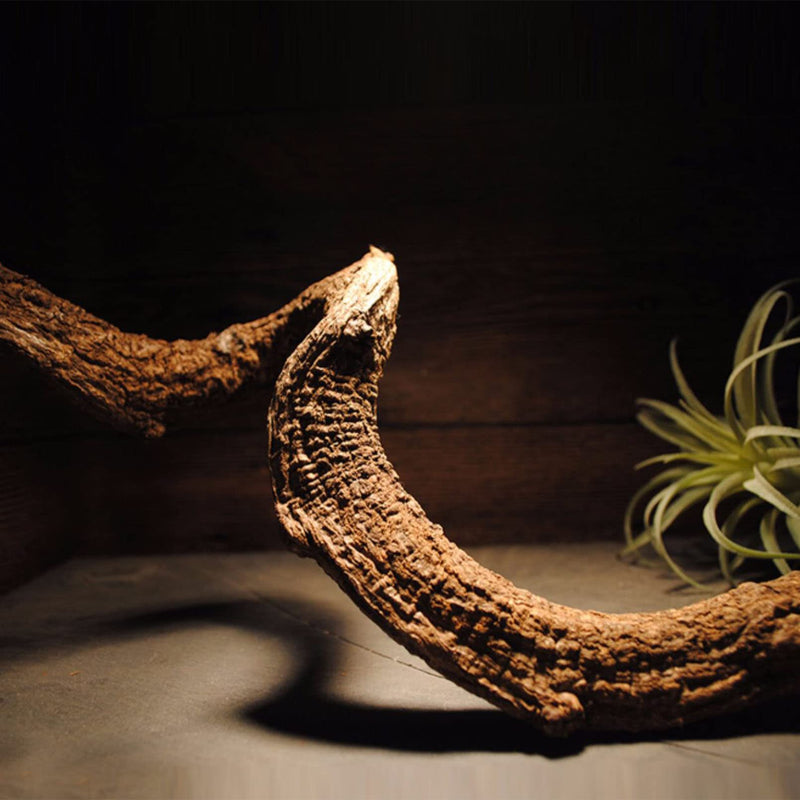 BNOSDM Reptile Vines，Flexible Jungle Climber Vines Habitat Decor for Climbing,Geckos Snakes Lizards 4PCS - BeesActive Australia