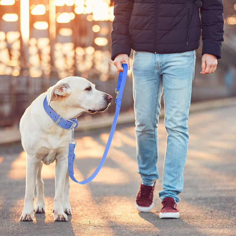 Wisedog Waterproof Standard Dog Leashes with 2 Hooks, 5 ft/ 6 ft Lengths, Adjustable for Traffic Control Safety, for Small, Medium & Large Dogs Walking L(6 ft, 0.75" wide) Blue - BeesActive Australia