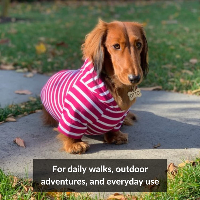 DJANGO Dog Hoodie and Super Soft and Stretchy Sweater with Elastic Waistband and Leash Portal Small Boysenberry - BeesActive Australia