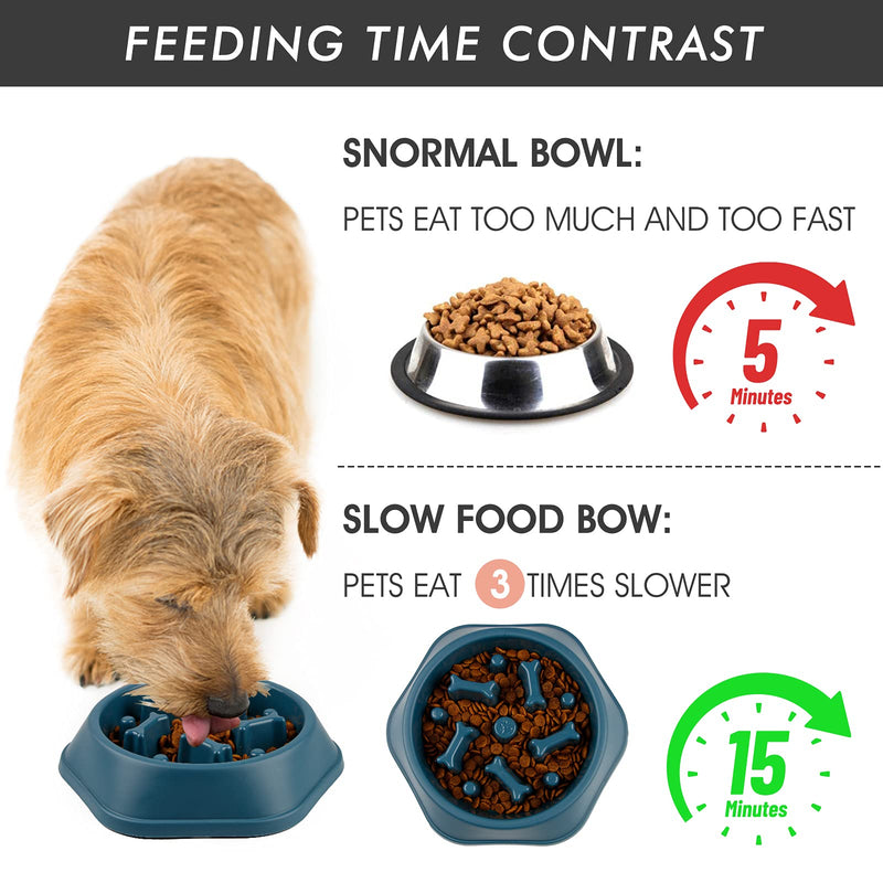 DPOEGTS Slow Feeder Dog Bowl, Puzzle Dog Food Bowl Anti-Gulping Interactive Dog Bowl and Water Dog Bowl for Small/Medium Sized Dogs Bone-Blue-(Not Travel Bowl) - BeesActive Australia