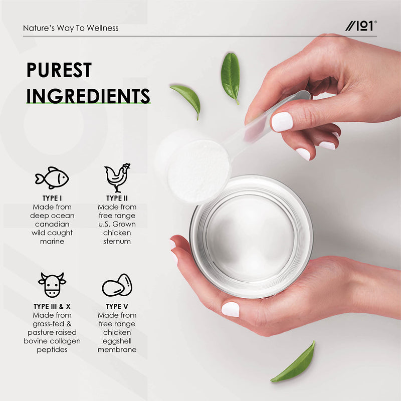 Multi Collagen Protein Powder (400g) - Types I, II, III, V & X - Hydrolyzed Grass Fed Bovine, Wild Caught Fish, & Free-Range Chicken & Eggshell Collagen. Non-GMO, Halal. 400 g (Pack of 1) - BeesActive Australia