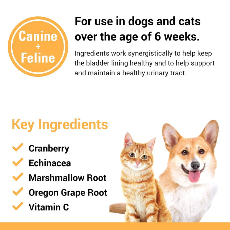 Vet Classics Cranberry Comfort Urinary Tract Pet Supplement for Dogs, Cats – Maintains Dog Bladder Health, Cat Bladder Control – Pet Supplements for Incontinence 120 Soft Chews - BeesActive Australia