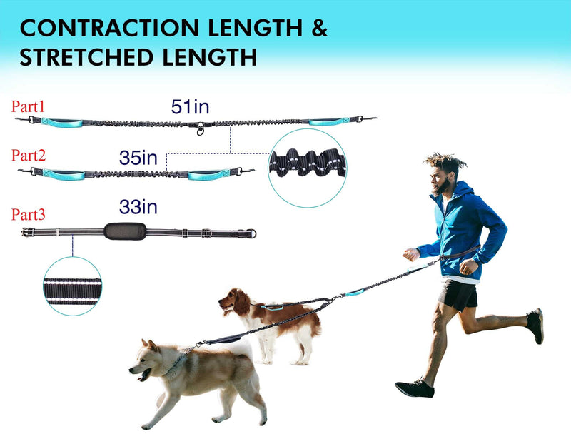 Hands Free Dog Leash, Double Dog Leash, MingXpets Waist Dog Running Leash for Comfortable Walking Jogging Training Hiking, Long Padded No Tangle 360° Swivel Clasp Adjustable Dual Dog Lead Leashes - BeesActive Australia