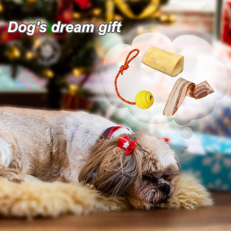 Nevperish K9 Training Ball with Rope Exercise and Reward Toy for Dogs Indestructible Dog Toy Ball with Handle for Training Pull Throw Toy tug Toy Dogs Fetch Toys Belgian Malinois Gifts Orange and Yellow - BeesActive Australia