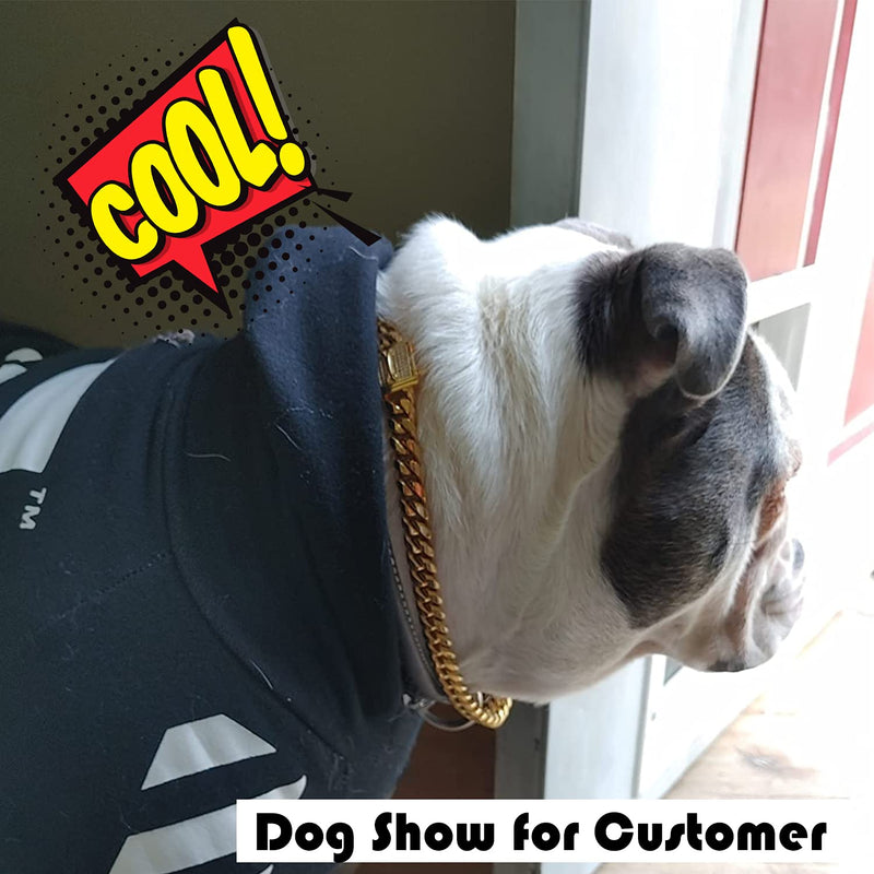 PRADOG Chain Dog Collar with Zirconia Locking 12mm 18K Gold Cuban Link Chain Metal Stainless Steel Dog Walking Puppy Collar Luxury Dog Bling Necklace for XSmall, Small, Medium, and Large Dogs 16" (Fixs Neck 14" to 15.5") - BeesActive Australia