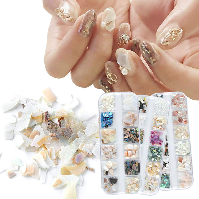 36 Grids Nail Art Shell Nail Abalone Slices, Tingbeauty Natural Irregular Sea Shell 3D Charm Nail Art Decoration Slice DIY Beauty Salon Nail Art Decorations Supplies Accessories(3 Boxes) - BeesActive Australia