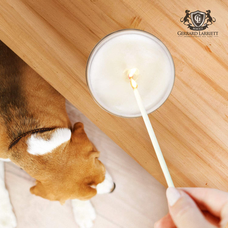 Lavender & Chamomile Aromatherapy Deodorizing Soy Candle for Pets, Pet Odor Eliminator & Animal Lover Gift - 6 OZ (170 g) Lavender & Chamomile - BeesActive Australia