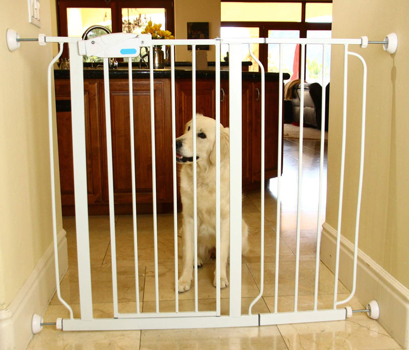 Baby Gate Guru Small Wall Protector 4 Pack - White - Cup Pads to Guard Your Walls from Pressure Mounted Baby Gates, Pet Gates, Safety Gates, Shower Curtain Rods, and More (4 Pack, White) - BeesActive Australia