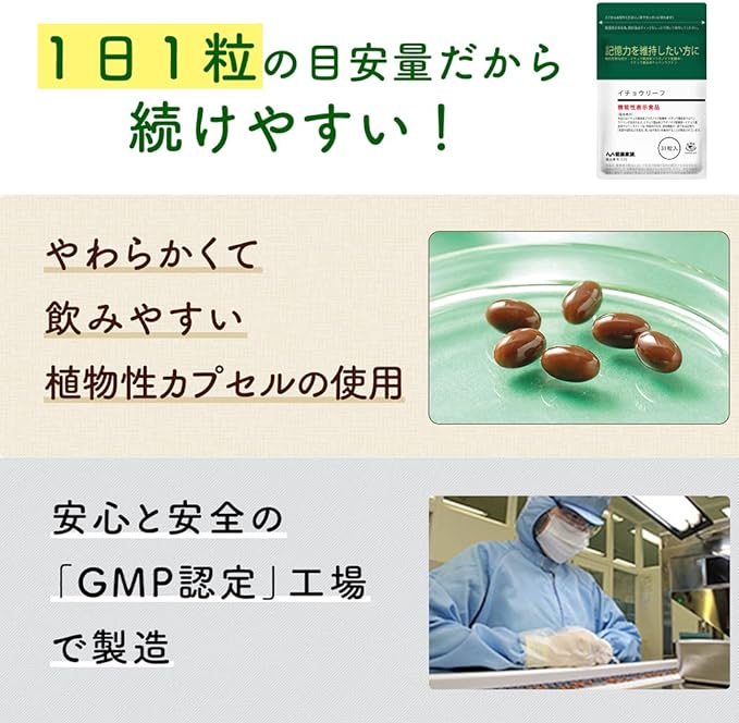 Health Family Ginkgo Leaf 31 tablets 31 days supply Ginkgo biloba extract DHA Flaxseed oil Perilla oil Vitamin E [Food with functional claims] - BeesActive Australia