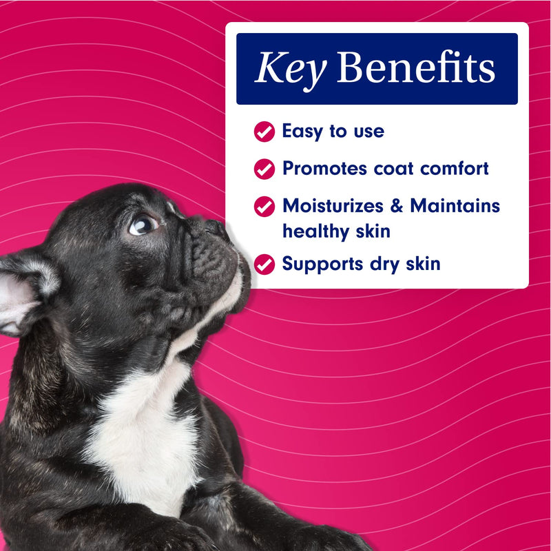 PetLab Co. Itch Relief Mousse - Moisturize, Deodorize, & Support Dry Skin With This Dry Dog Shampoo - Unique Quick-Dry Formula Delivers Hassle-Free Support To Promote Coat Comfort - BeesActive Australia