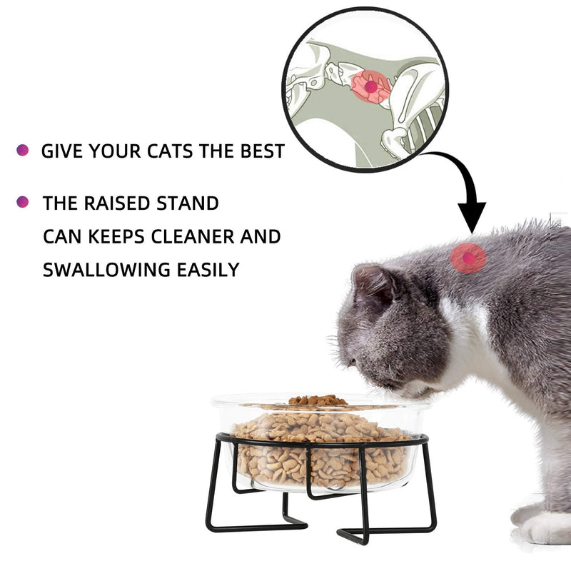 Glass Raised Cat or Small Dog Dishes with Metal Stand, 20 Ounces Pet Food or Water Bowls ,Transparent - BeesActive Australia