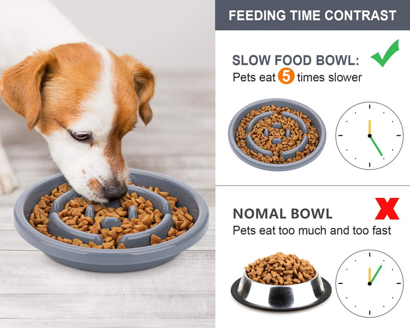 Pecute Dog Bowls Slow Feeder Bloat Stop Pet Bowl Eco-Friendly Non-Toxic No Chocking Healthy Design Bowl with No-Spill Non-Skid Silicone Mat Stainless Steel Water Bowl for Dogs Cats and Pets M-13.5oz/bowl Grey Bowl - BeesActive Australia