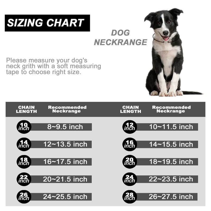 PRADOG Chain Dog Collar with Zirconia Locking 12mm 18K Gold Cuban Link Chain Metal Stainless Steel Dog Walking Puppy Collar Luxury Dog Bling Necklace for XSmall, Small, Medium, and Large Dogs 16" (Fixs Neck 14" to 15.5") - BeesActive Australia