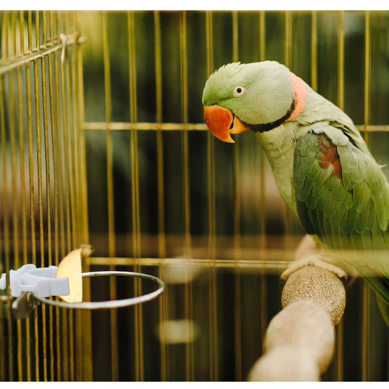 WishLotus Bird Cage Feeding Clips, 4 PCS Plastic Durable Parrot Fruit Vegetable Clips Mini Bird Cage Feeder for Pet Birds and Parrot Feeding Bird Cage Accessories A - BeesActive Australia