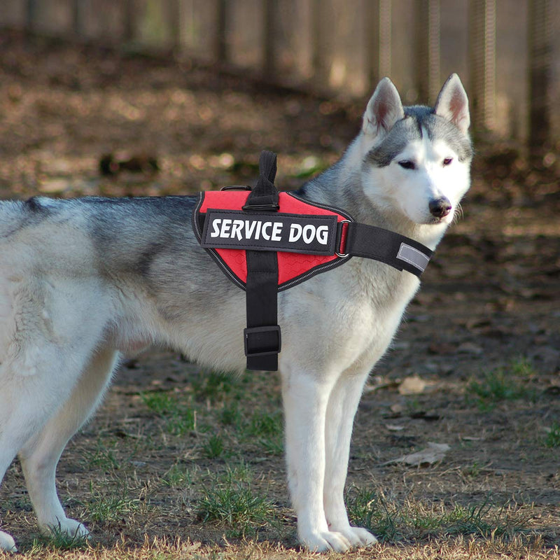 MUMUPET Service Dog Harness, No Pull Easy On and Off Pet Vest Harness, 3M Reflective Breathable & Easy Adjust Pet Halters with Nylon Handle - No More Tugging or Choking for Small Medium Large Dogs Small (Pack of 1) Red - BeesActive Australia