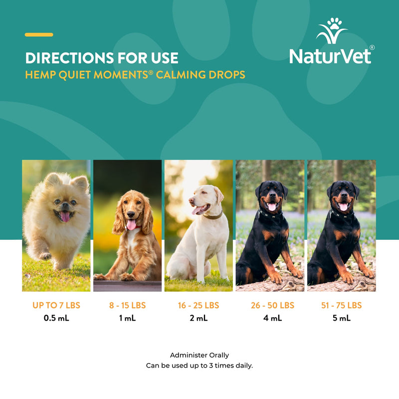 NaturVet Quiet Moments Calming Drops for Cats & Dogs – Helps Reduce Pet Stress, Promotes Relaxation – Dog Supplement, Cat Supplement Includes L-Tryptophan, Ginger, Chamomile 4 fl oz - BeesActive Australia