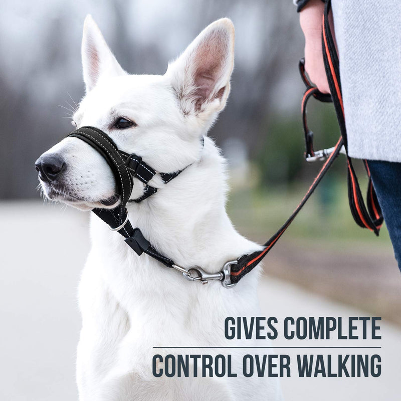 GoodBoy Dog Head Halter with Safety Strap - Stops Heavy Pulling On The Leash - Padded Headcollar for Small Medium and Large Dog Sizes - Head Collar Training Guide Included Size 2 (Pack of 1) Black Nylon / Black Padding - BeesActive Australia