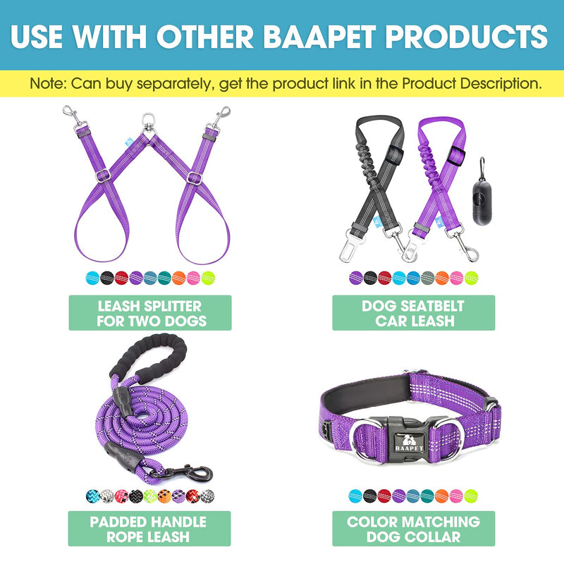 BAAPET 5 Feet Nylon Dog Leash with Triple Reflective Threads and Comfortable Padded Handle for Walking, Training Lead Small Puppy, Medium and Large Dogs Medium/Large (1.0'' x 5 FT) Purple - BeesActive Australia