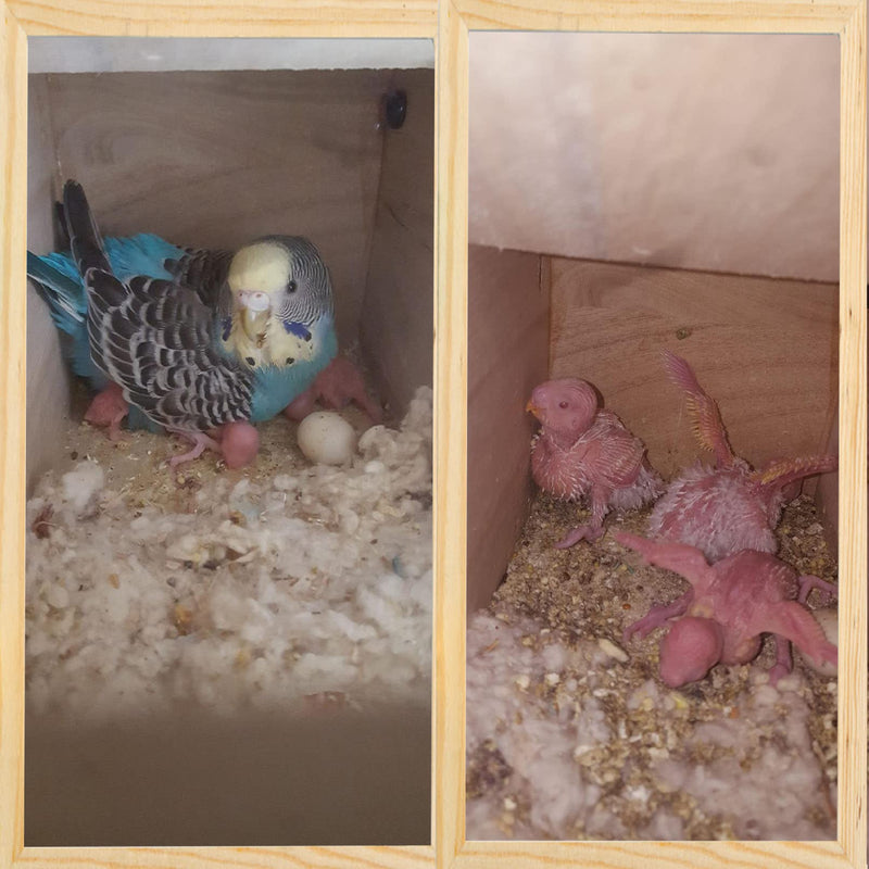 kathson Parakeet Nesting Box,Parrot Nest Home,Lovebirds Mating Breeding Wood House with Feeding Spoon 4 Toys Balls for Budgerigar Canary Cockatiel Small Birds (6 PCS) - BeesActive Australia