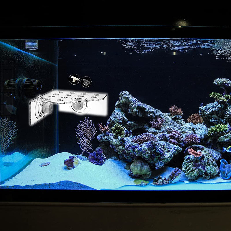 13 Plug Holes Coral Frag Rack Clear Acrylic Coral Holder Aquarium Fish Tank Button Coral Reef Broken Frame Enhanced Suction Cup (2 Pack) - BeesActive Australia