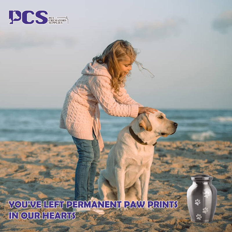 PCS Memorial Pet Cremation Urns for Dogs and Cats Ashes, Paws Engraved Pet Urn,Dog Keepsake Urns for Ashes S(0-45lbs) Silver,Vertical paw - BeesActive Australia