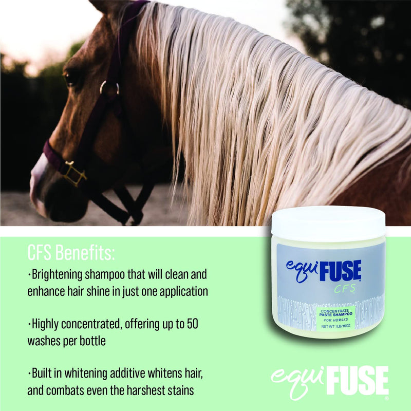 EquiFUSE CFS Concentrate + Paste Horse Shampoo | Formulated for Deep Cleansing and Superior Shine on Hair |100% all-natural Coat Brightener | 16 oz - BeesActive Australia