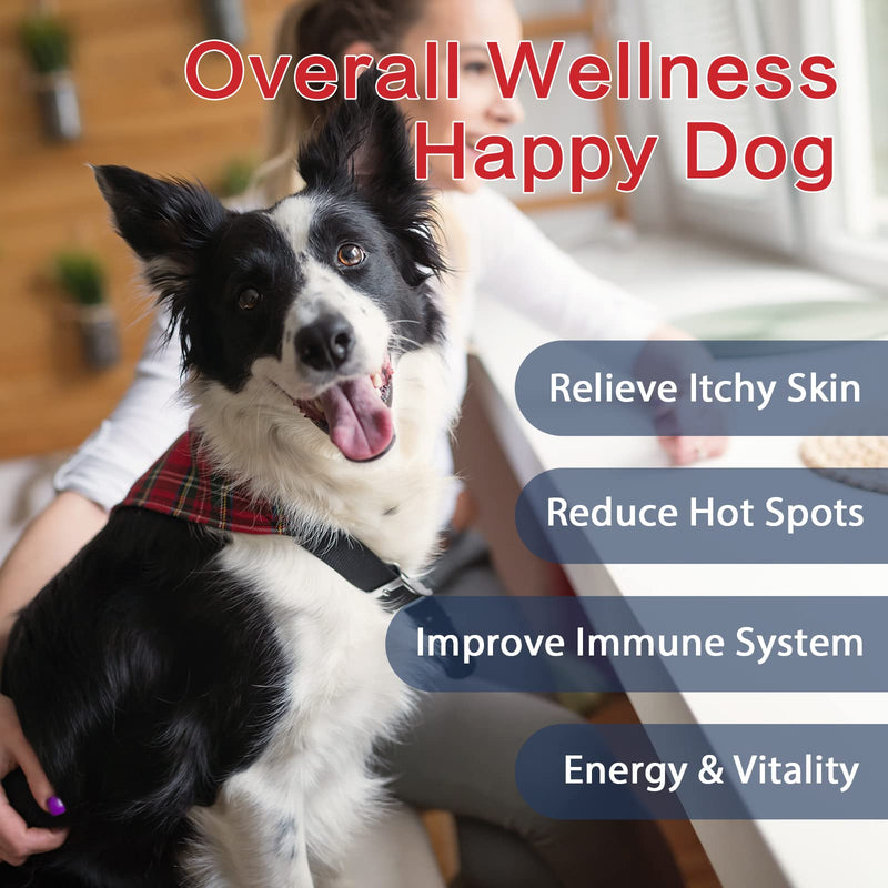 Probiotics for Dogs, Dog Probiotics and Digestive Enzymes for Gut & Digestive Health, with Prebiotics and Multivitamin, Constipation, Diarrhea and Allergy Relief, Immune Support, 180 Tablets Chicken - BeesActive Australia