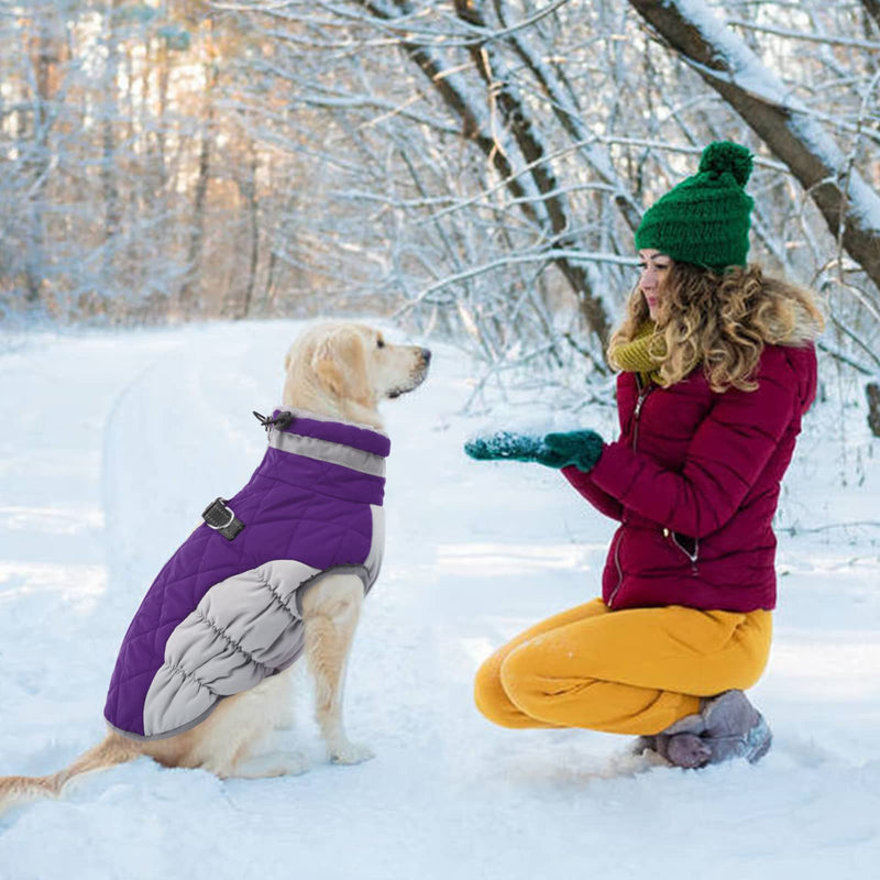 OUOBOB Dog Winter Jacket Cozy Reflective Waterproof Dog Coat Windproof Warm Pet Garment, Comfortable Cold Weather Fleece Apparel Outfits with Zipper Closure for Small Medium Large Dogs Puppy Walking Purple - BeesActive Australia