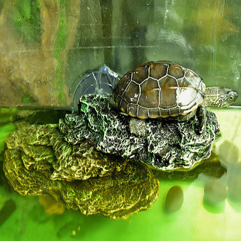 PINVNBY Turtle Basking Platform Reptile Climbing Shale Resin Step Ledge Stone Aquarium Ornament Rock Landscaping Decoration with Suction Cups for Frogs Newts Amphibians Lizard 8.2”Lx3.3”Wx3.1”H - BeesActive Australia