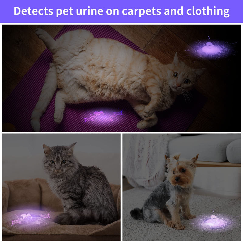 UV Flashlight Black Light 51 LED 395 nm Detector UV Light Handheld Blacklight for Pet Urine Detector, Dry Stains, Bed Bug, Battery Not Included (4 Pieces) - BeesActive Australia