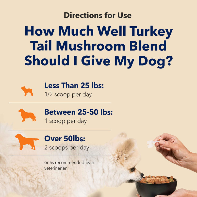 Honest Paws Dog Digestive and Immunity Booster – Turkey Tail Mushroom Blend - Shiitake, Reishi, Maitake Mushroom Extract Formula - No Filler, No Additives - (1.05 oz) - BeesActive Australia