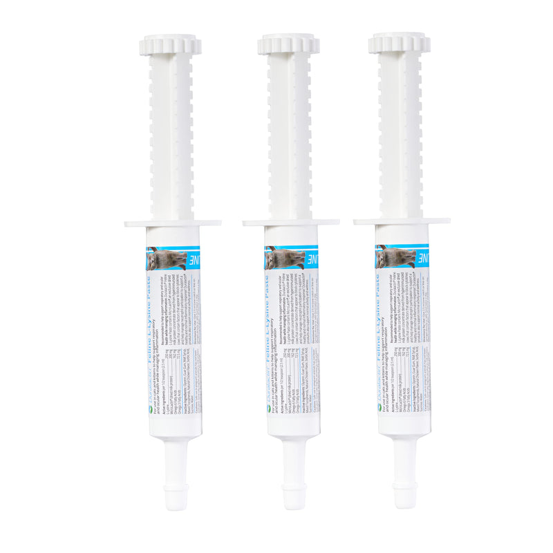 PRN Pharmacal Duralactin Feline L-lysine Paste for Cats & Kittens - Supports Feline Joint, Respiratory, Ocular Health - Chicken-Flavored Paste to Help Manage Inflammation - 32.5 mL Syringe - 3 Pack - BeesActive Australia