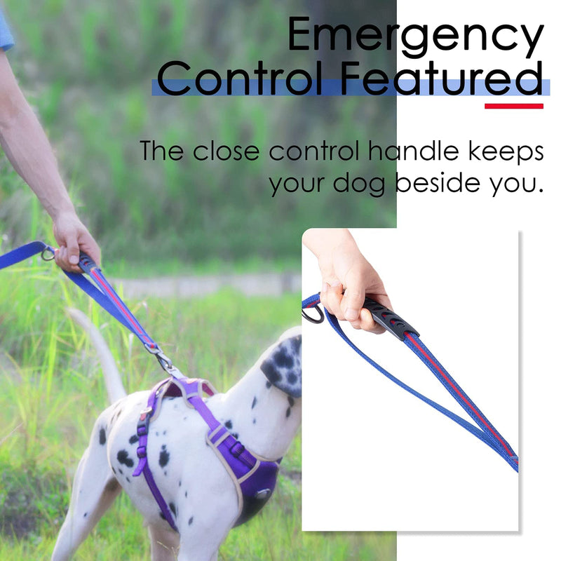 ThinkPet Dog Leashes –Traffic Control Double Handle Leash, 2 Handles Leash Comfortable Padded Heavy Duty Bungee No Pull Reflective Lead with Car Seat Belt for Medium Large Dogs Training Walking 4FT bluered - BeesActive Australia
