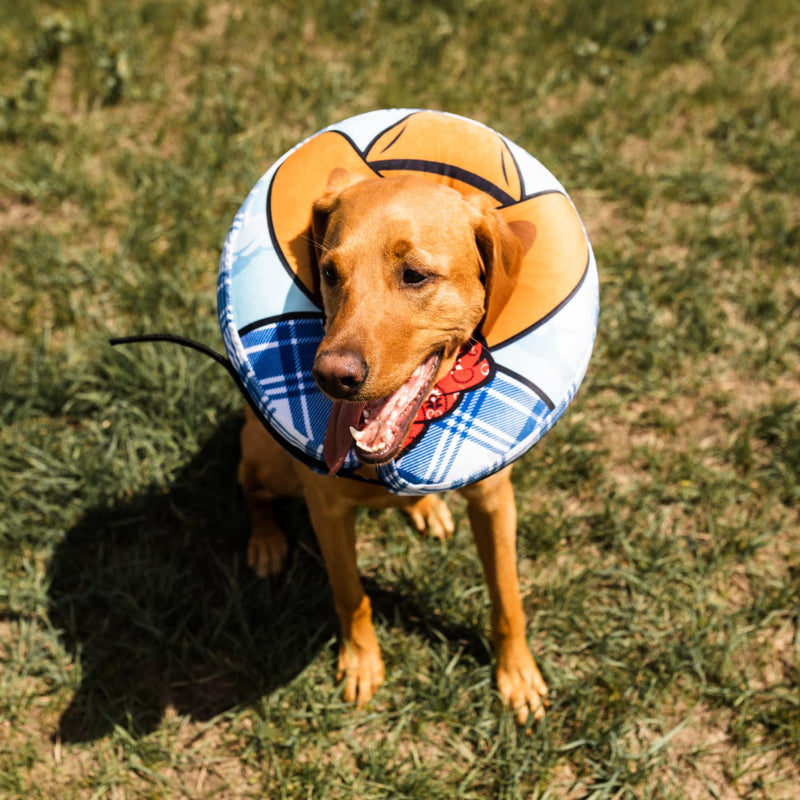 Choola Pet Inflatable Dog Cone Collar for After Surgery Care Bundled with Toy, Pump, and Extra Tube Wild West Large Collar - BeesActive Australia