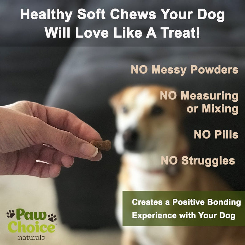 Probiotics for Dogs with Prebiotics - Daily Chews for Digestion, Regularity, Diarrhea Relief, Plus Supports Immune System and Health - Natural Supplement and Treat Made in USA - BeesActive Australia