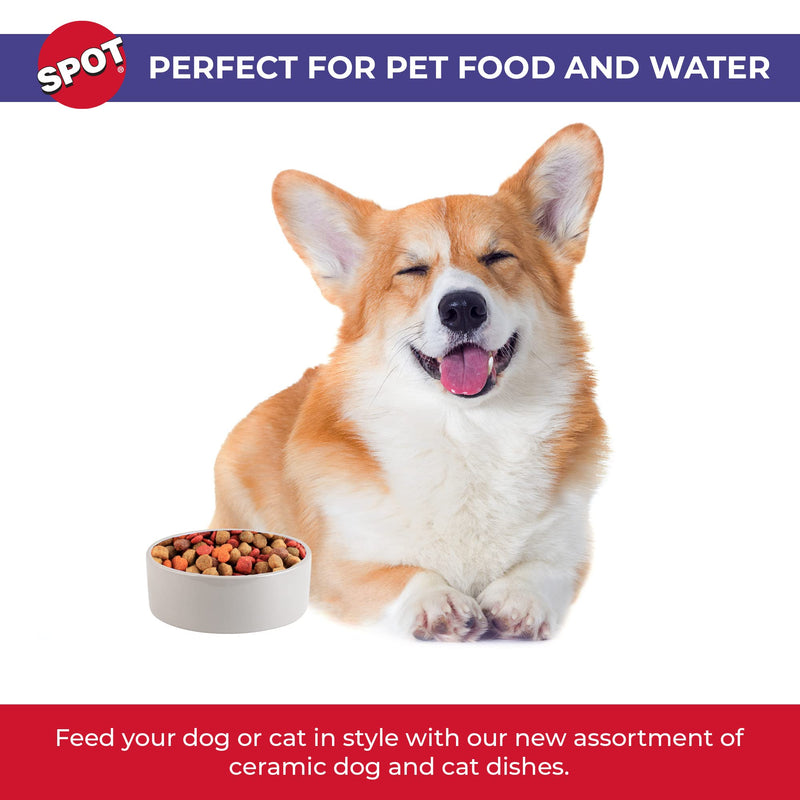 SPOT by Ethical Products – Ceramic Stoneware Pet Bowl for Cats and Small Dogs, Classic Heavy Duty Non Slip Ceramic Cat Dish Small Animal Bowls for Food and Water - 4" - Small - BeesActive Australia
