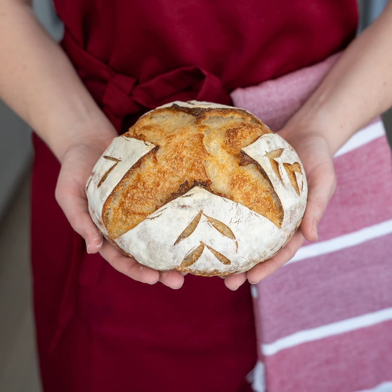 Bulka Banneton Bread Proofing Basket Spruce Wood Pulp Round 8" Plane, Sourdough Bread Baking Supplies Brotform - Non-Stick Dough Proving Bowl, Gifts for Bakers making Artisan Loaves, Made in Germany. Plane 500g - BeesActive Australia