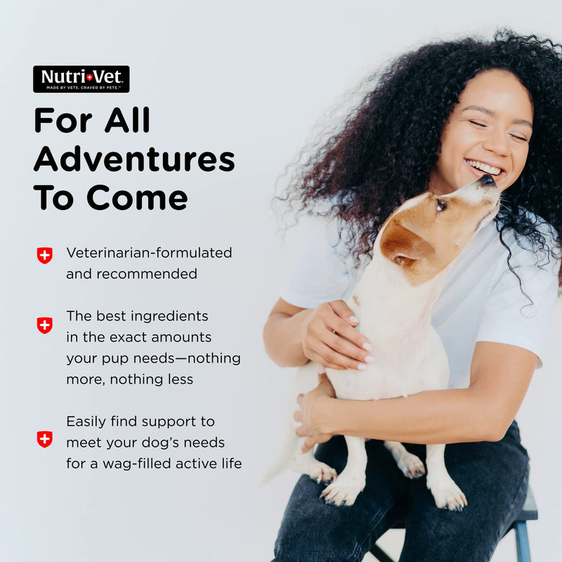 Nutri-Vet Multi-Vite Chewables for Adult Dogs | Daily Vitamin and Mineral Support to Help Maintain Peak Condition 180 ct - BeesActive Australia
