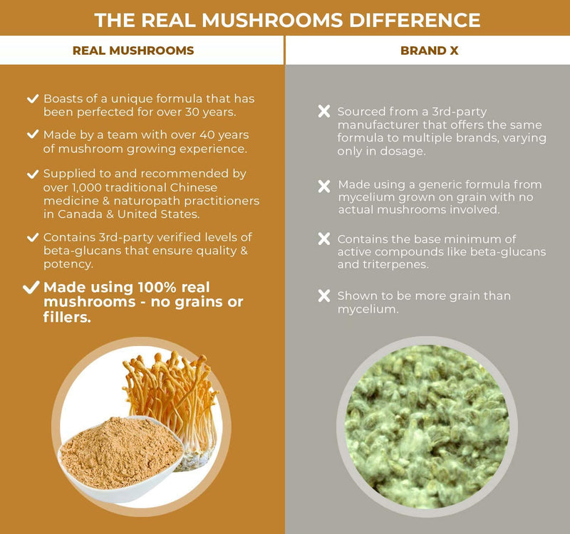 Real Mushrooms Cordyceps for Humans (120ct) and Lions Mane for Pets (120ct) - Bundle for Energy, Vitality & Cognition - Vegan, Non-GMO, Gluten-Free, Grain-Free Mushroom Extract Supplements - BeesActive Australia