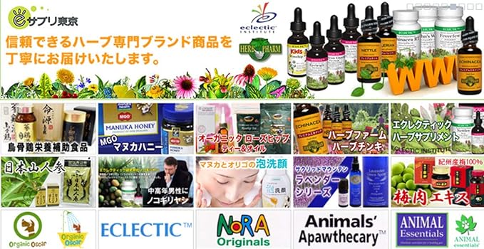 Japan Whole Foods Herbal Supplement Milk Thistle Milk Thistle Standardized 262mg 60 Capsules - BeesActive Australia