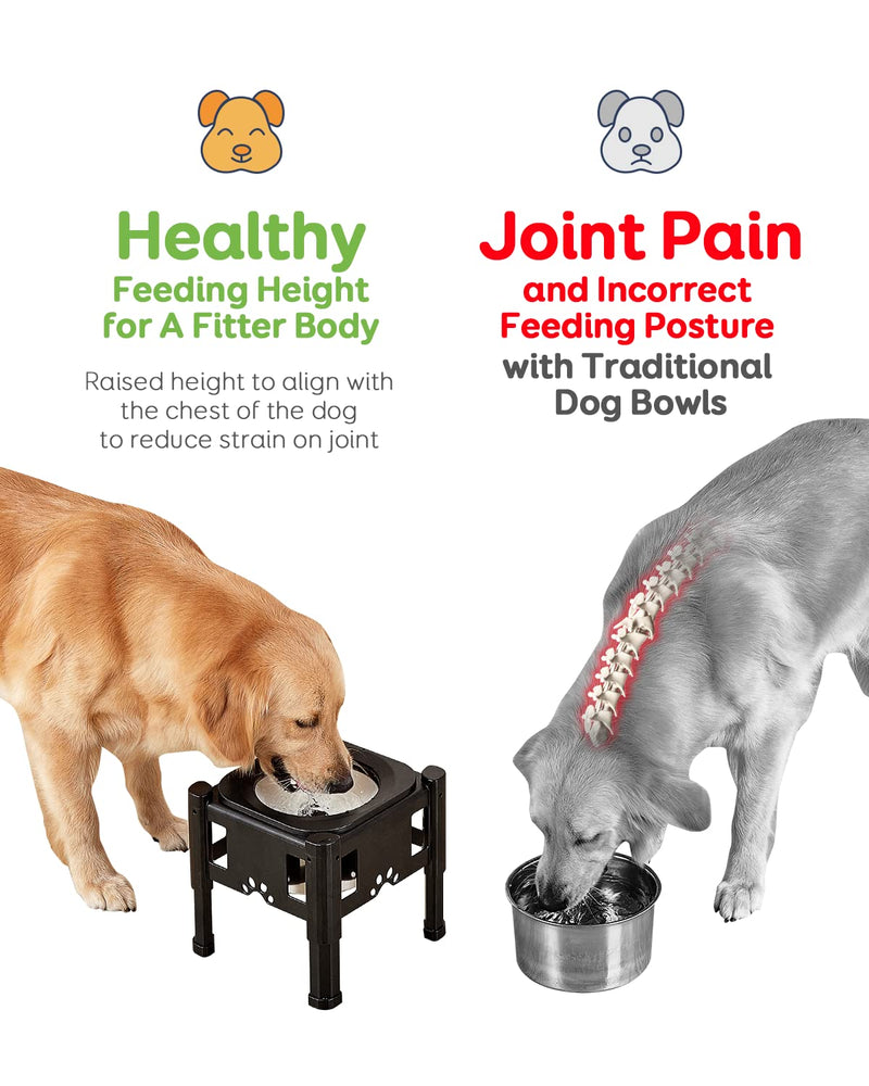 Pawque Elevated Dog Bowls with Slow Feeder Dog Bowl, Adjustable Raised Dog Bowl Stand with 3 Heights (6.1", 7.7", 9.3") for Medium and Small Sized Dog Cat, Mess Proof Non-Slip Pet Dish Feeder Holder Dog Water Bowl - BeesActive Australia