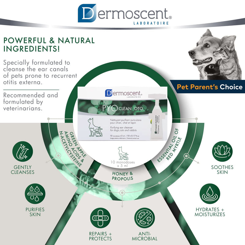 Dermoscent Pyoclean OTO Dog Ear Cleaner - Drops to Stop Head Shaking, Itchy & Waxy Ears - Non-Toxic - Ear Cleaning Solution for Dogs - BeesActive Australia