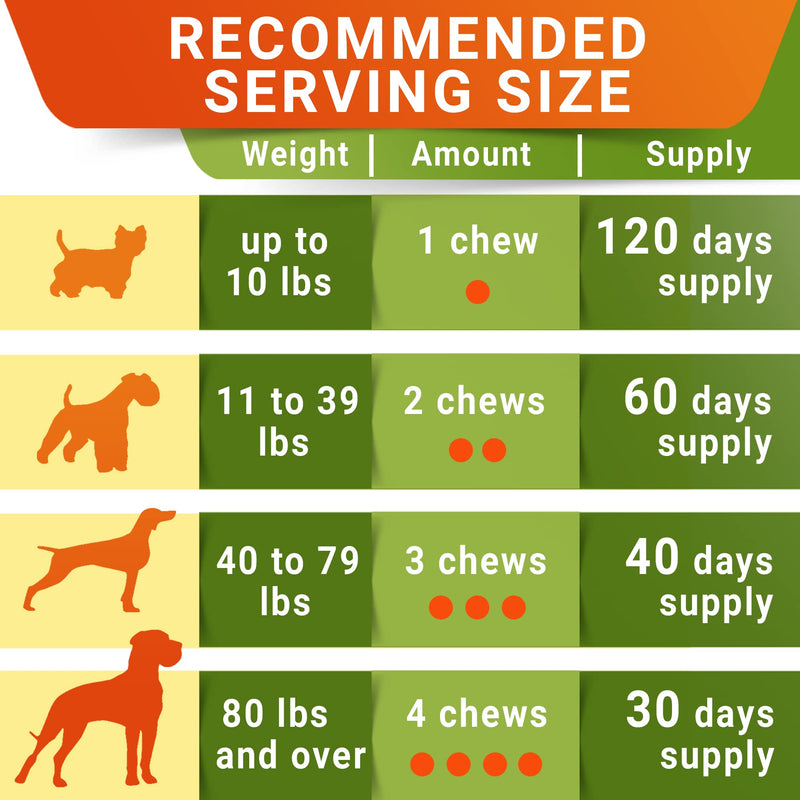 STRELLALAB Glucosamine Treats for Dogs - Joint Supplement w/Omega-3 Fish Oil - Chondroitin, MSM - Advanced Mobility Chews - Joint Pain Relief - Hip & Joint Care - Made in USA Bacon Senior Advanced - 120 Treats - BeesActive Australia