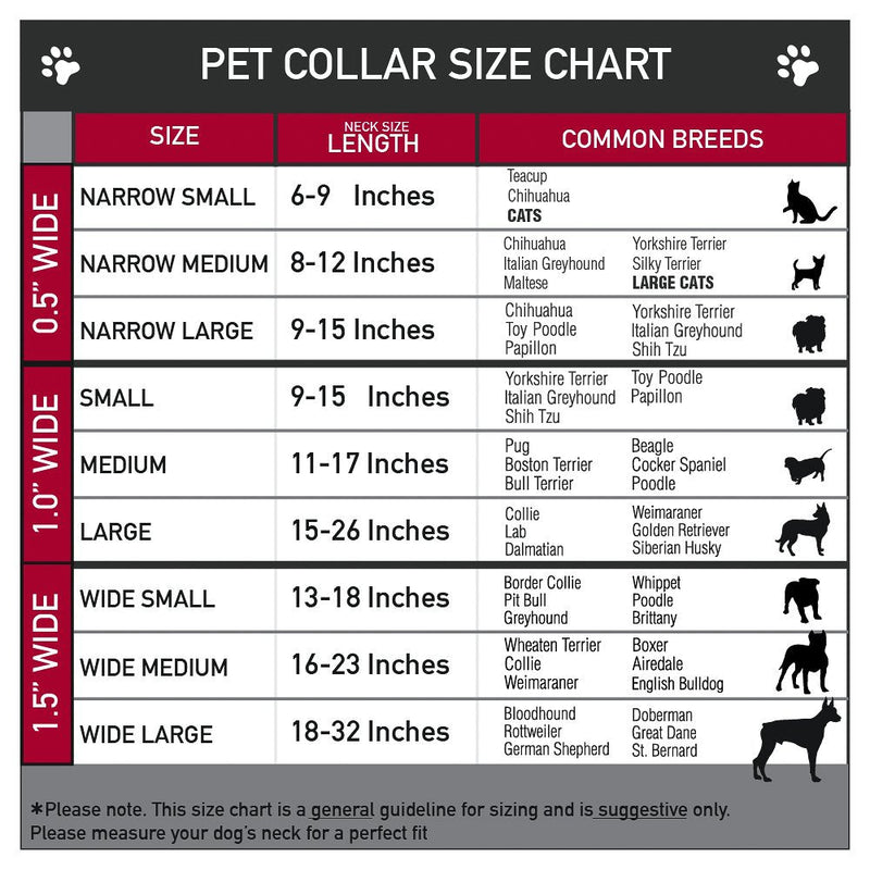 Buckle-Down Plastic Clip Collar - Tasmanian Devil Expressions Red Swirl - 1/2" Wide - Fits 9-15" Neck - Large 1" Wide - Fits 15-26" Neck - Large - BeesActive Australia